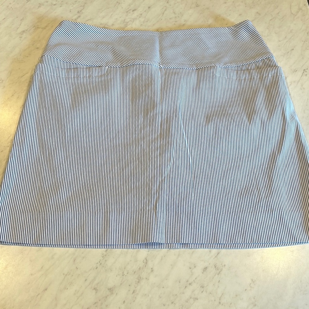 S.C. & Co Blue and White Striped Skort